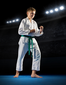 Boy martial arts  fighter at sports hall