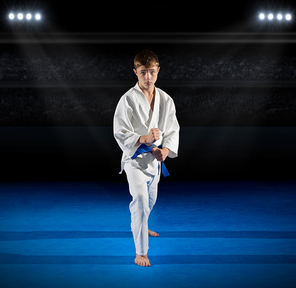 Boy martial arts fighter in sports hall