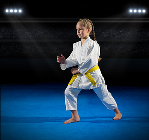 Girl martial arts fighter in sports hall