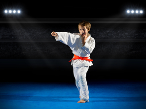 Little boy martial arts fighter at sports hall