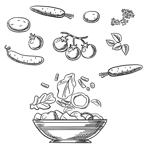 Cooking vegetarian salad sketch with fresh cherry tomatoes, carrots, cucumber, potatoes, spicy herbs and wide bowl with sliced ingredients. For recipe book or menu design