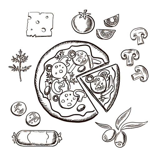 Pizza with ingredients surrounding a sliced pizza and salami, herbs, tomato, cheese, mushrooms and olives. Sketch icons