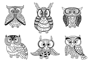 Cartoon colorless forest owls and funny owlets with decorative feathers. Animal characters for children book, education mascot, Halloween design. Outline style