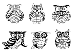 Black and white outline silhouettes of cute little owls with different shapes, plumage and eyes. Vector illustration