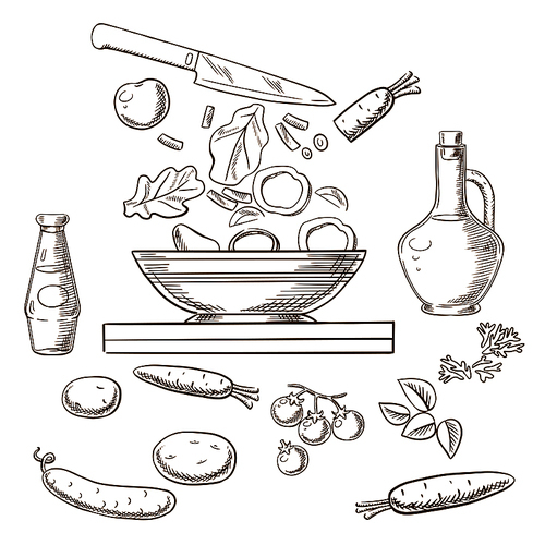 Cooking salad process showing bowl with sliced fresh vegetables surrounded by whole carrots, cucumber, tomatoes, potatoes, spicy herbs, bottles of olive oil and soy sauce. Vector sketch