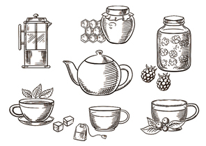 Sketched tea icons with jars, honey and raspberry jam, french press, various teacups with tea bag, sugar cubes, fresh leaves of mint and cowberry with porcelain tea pot. Vector sketch