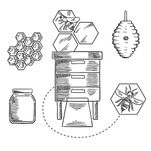 Honeycomb sketch design with bees flying near beehives, honeycombs and glass jar with honey for beekeeping industry design