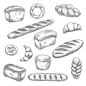 Bakery and pastry sketches with engraving stylized fragrant freshly baked baguette, healthy rye and delicious wheat bread loaves, croissants with chocolate fillings, soft pretzel and braided buns
