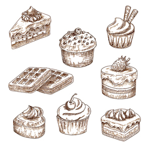 Cupcakes and muffin, chocolate cakes and fruity dessert, heart shaped cake and belgian waffles, topped with whipped cream, custard icing, sprinkles, wafer tubes and chocolate drops. Sketches