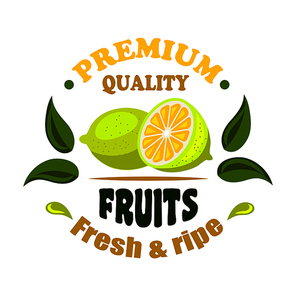 Fresh and ripe lemon fruits round badge decorated by green leaves and splashes of juice. Healthy organic fruits icon for greengrocery and farm market design