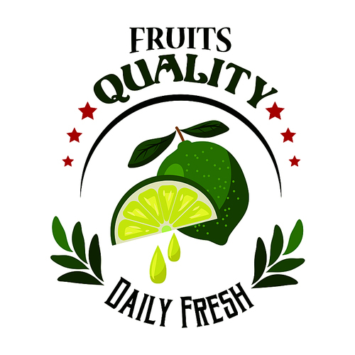 Organic shop or farm cartoon badge of fresh lime fruit with juicy wedge, decorated by stars, green branches and text Daily Fresh, arranged into round frame. Food packaging or promotion tag design