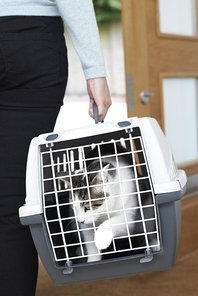 Woman Taking Pet Cat To Vet In Carrier