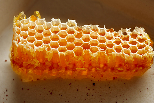 Honey honeycomb detail macro texture