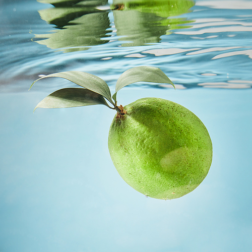 Closeup of a lime spashing into water on blue background