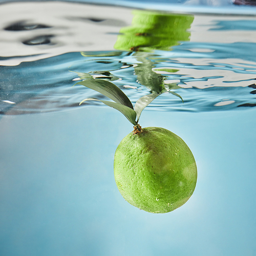 Green fresh lime falls into the water with a wave over the surface of the water. Concept of refreshing summer drinks