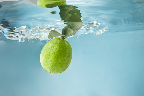Ripe lime with green leaves in water isolated on a blue background, waves on the surface of water. The concept of a refreshing summer drink