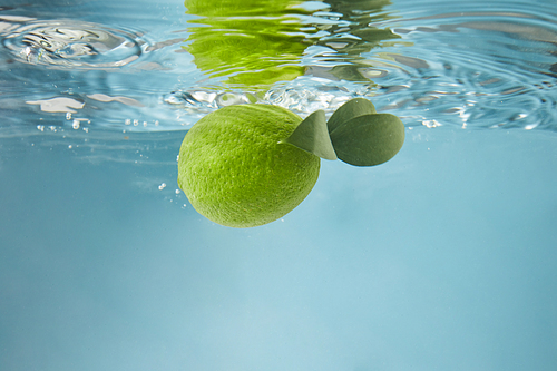 Round green lime with leaves falling into the water making bubbles and waves on the water on a blue background.