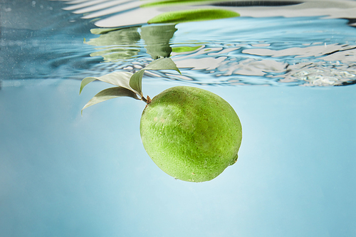 A whole lime with leaves falls into the water on a blue background creating splashes on the water. Concept of a cooling drink