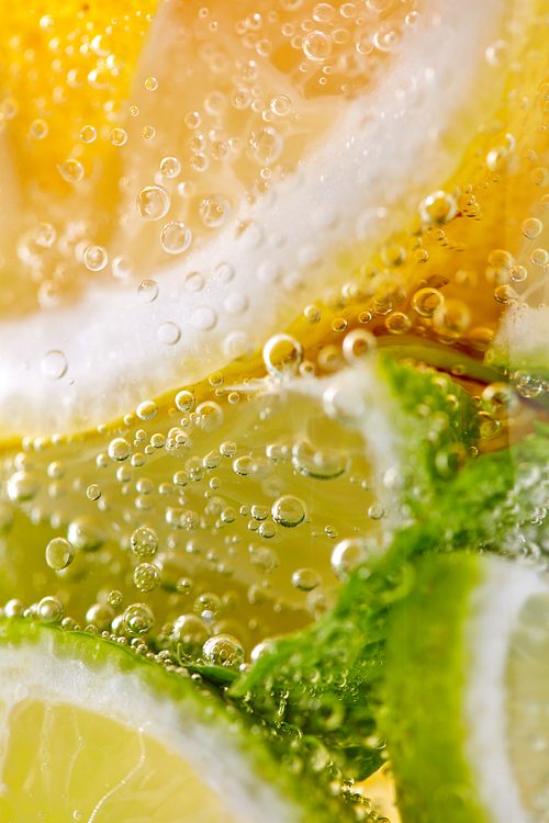 Macro photo of fresh slices of green lime, yellow lemon and mint leaf with bubbles in a glass. Cool summer drink.