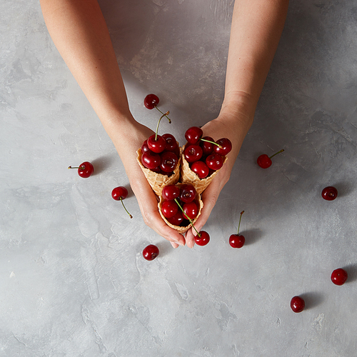 Hands of a woman holding crispy wafer cups with large ripe cherry berries in them on a gray table, space for text. Top view. Summer concept of homemade ice cream.