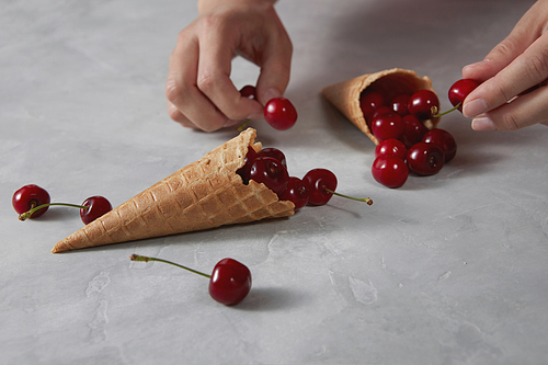 Natural organic fresh cherry fruits with wafer sweet cones and girls hands hold berries for homemade ice cream on a gray stone background with copy space. Vegetarian diet eating.