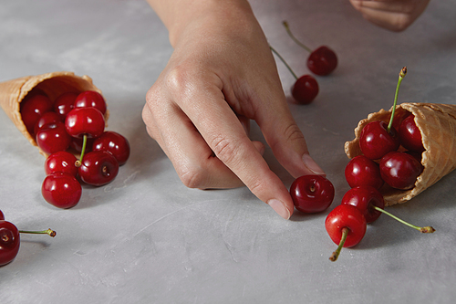 The woman's hands put ripe red cherries in crispy wafer cups for homemade sorbet on a gray stone background. Vegetarian diet eating.