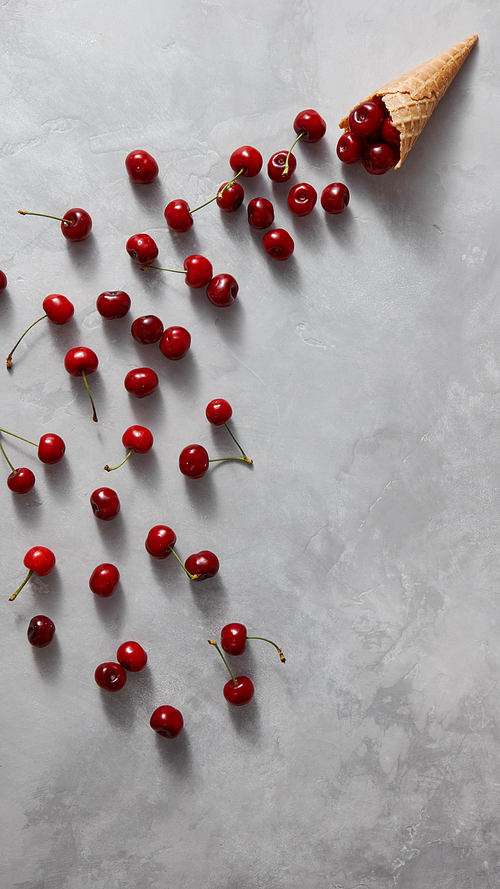 Fresh organic cherries are poured from a waffle horn on a gray stone background with copy space. Flat lay. Summer concept of homemade desserts.