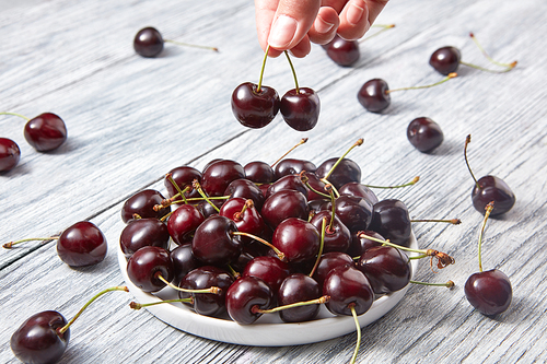 Ripe sweet cherry in the white plate on a gray wooden background. Womens fingers holding berries over a plate with organic natural fruit.