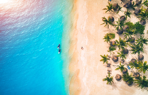 Aerial view of umbrellas, palms on the sandy beach and kayaks in the sea at sunset. Summer holiday in Zanzibar, Africa. Tropical landscape with palm trees, parasols, boat, sand, blue water. Top view