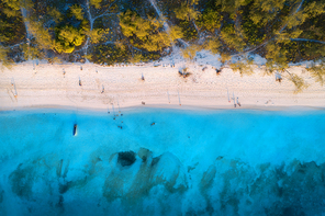 Aerial view of green trees on the sandy beach and blue sea at sunset. Summer holiday. Indian Ocean in Zanzibar, Africa. Tropical landscape with palm trees, white sand, blue water, waves. Top view