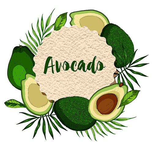 Round paper label with green ripe avocado fruits on a white background. Vector illustration