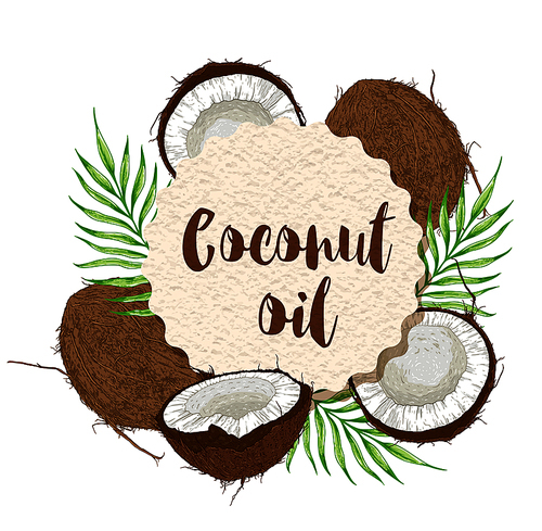 Round paper label with coconuts and green palm leaves on a white background. Vector illustration