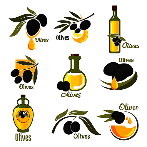Olives black fruits with golden oil drops and glass bottles of olive oil, supplemented by branches of olive tree with green leaves. Agriculture and healthy food themes