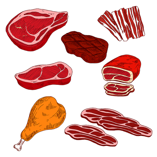 Fresh and grilled beef steaks, thin slices of bacon and prosciutto, baked beef tenderloin and turkey leg sketch icons. Nutritious and healthy meat products for grill bar or butcher shop design