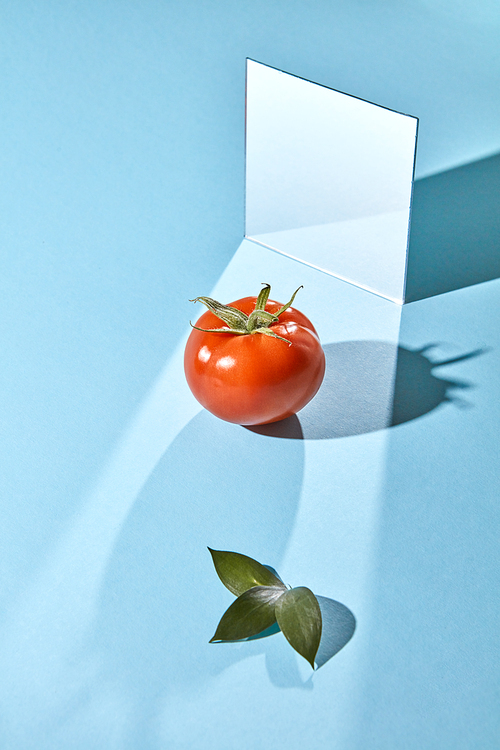 A mirror, a ripe tomato and leaves on a blue background with shadows and a copy of a spacer. Creative food composition