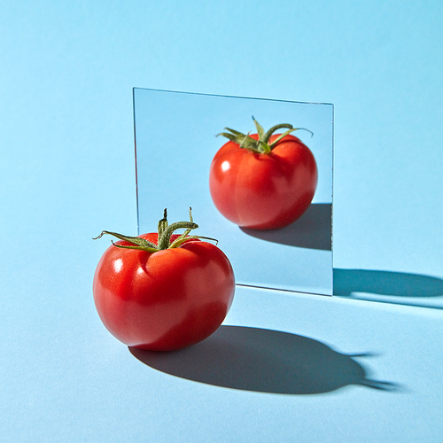Organic juicy tomato with reflection in the mirror presented on a blue background with space for text. Healthy vegetable