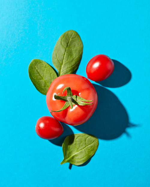 Tomatoes with green stems and spinach leaves presented on a blue background with reflection of the shadows. Organic vegetables. Flat lay
