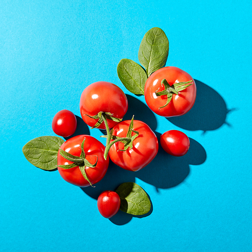 Fresh spinach leaves and juicy ripe tomatoes on a blue background with hard shadows and copy space. Organic vegetables for salad. Flat lay