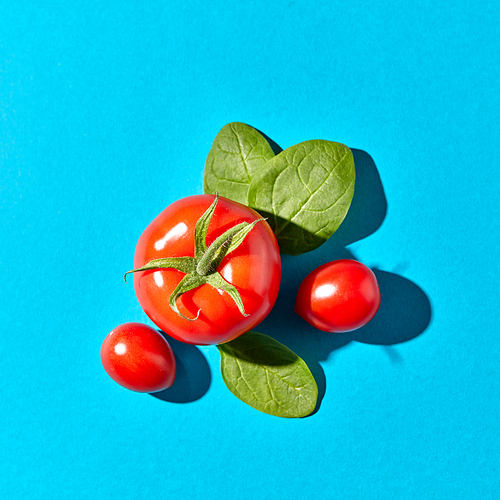 Appetizing organic tomatoes and green spinach leaves with shadow reflection on a blue background with space for text. Ingredients for Healthy Salad. Flat lay