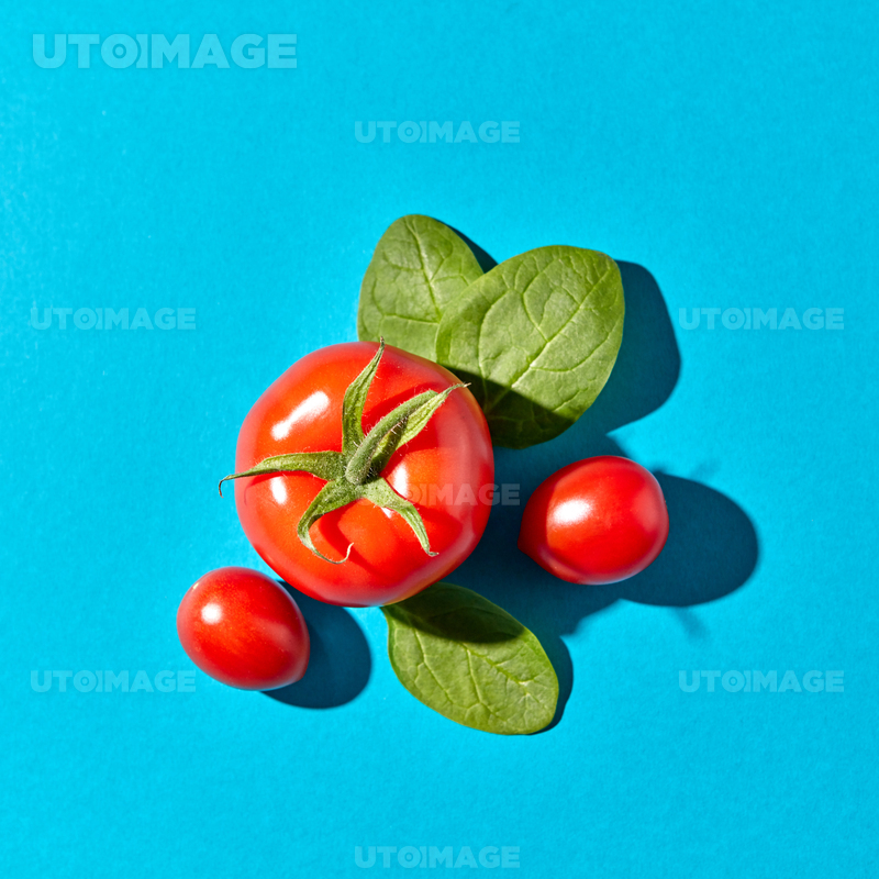 프리진 - 스톡 이미지, 사진, 일러스트, 벡터, 웹디자인. 이미지 사이트
