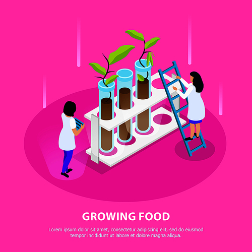 Growing of artificial food isometric composition with sprouts in laboratory beakers on pink background vector illustration