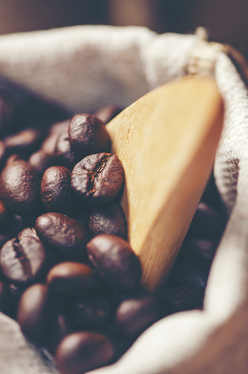 coffee beans on wooden background, arabica coffee, vintage filter image