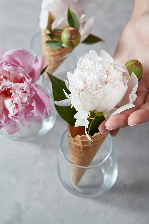 Girls hand with beauty fresh flowers peony in a waffle cones at a glass vases on a gray stone background, place under text.