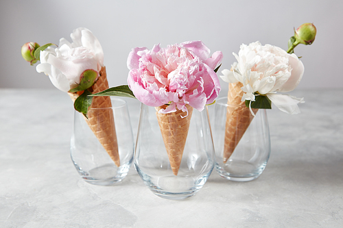 Creative composition from delicate flowers in a wafer cones with buds on a gray stone table, copy space.