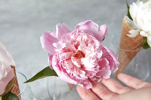 Girls hand with beauty fresh flowers peony in a waffle cones at a glass vases on a gray stone background, place under text.