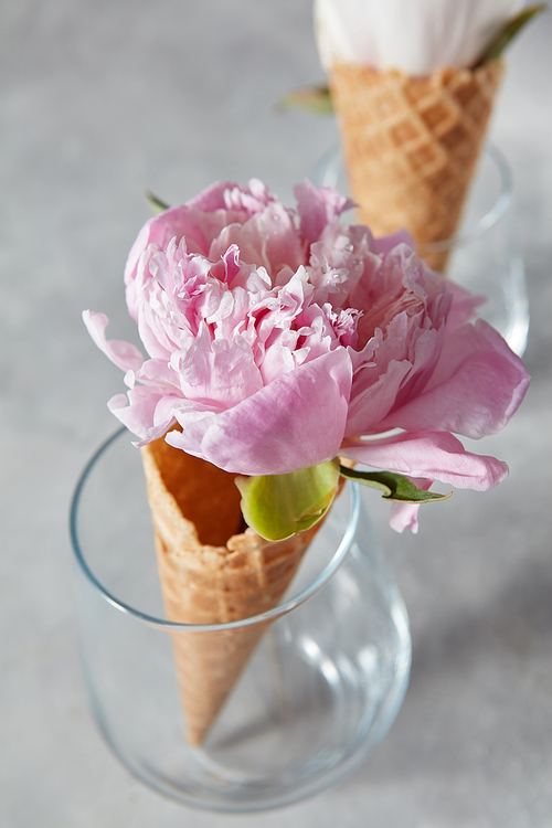 Sweet waffle cones with beautiful coloful peony flowers in glass cups on a gray background. Summer concept.