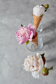 Delicate pink peony flower in a wafer cone in a glass standing on a gray stone table with copy space. Top view.