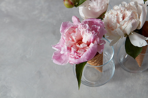 Blooming white and pink piones with green leaf in a glasses, wafer cones on a gray marble table, place for text.