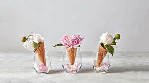 Blooming white and pink pions with buds, green leaf with wafer cones petals on a glasses on a gray background, place for text. Top view, summer concept of congratulations for birthday.