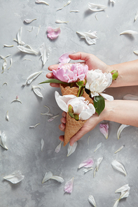 Girls hands hold sweet wafer cones with gentle pink and white flowers peony, petals of flowers on a stone gray background , copy space, Top view. Concept of congratulations for Mothers Day.